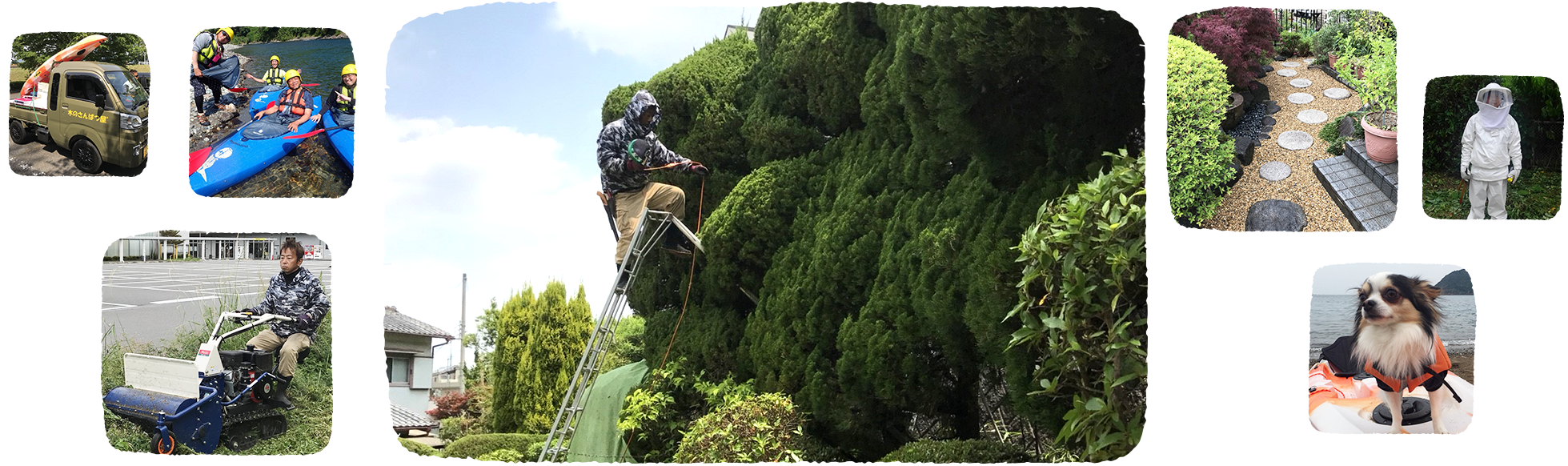 奈良の植木屋｜木のさんぱつ屋【植木庭木の剪定】木のさんぱつ屋